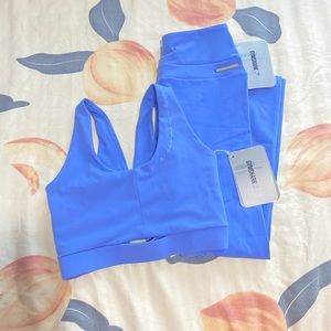 Whitney Simmons gymshark SET